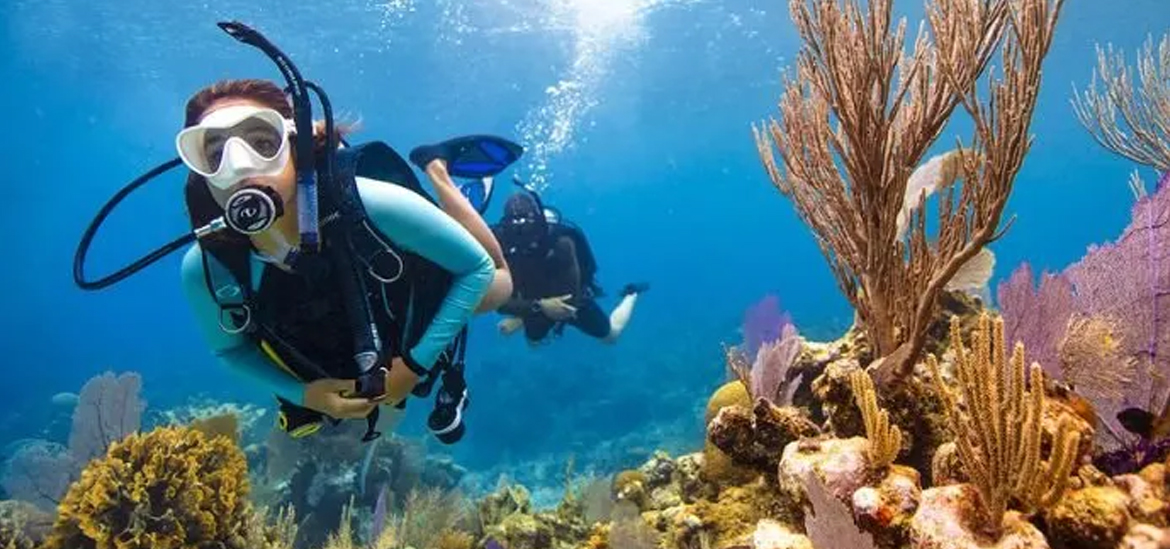 Open Water Diver